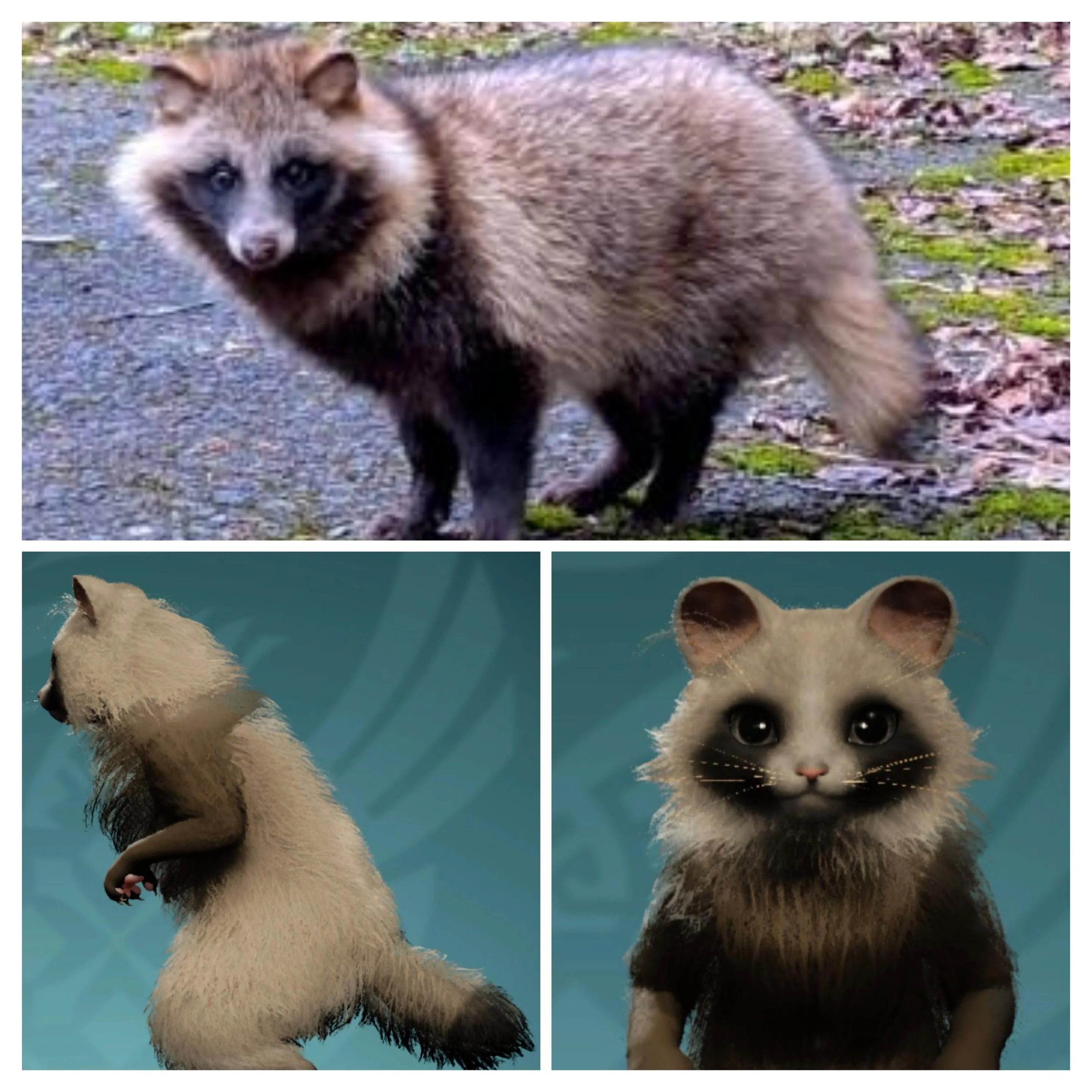 🔭 무로토 스카이라인 산정 전망대(다카오카엔치 텐보다이) 이미지 5